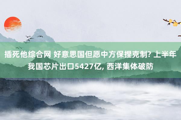 插死他综合网 好意思国但愿中方保捏克制? 上半年我国芯片出口5427亿， 西洋集体破防