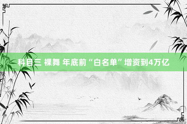 科目三 裸舞 年底前“白名单”增资到4万亿