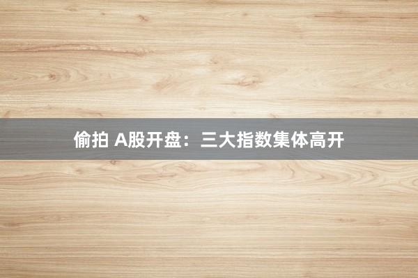 偷拍 A股开盘：三大指数集体高开