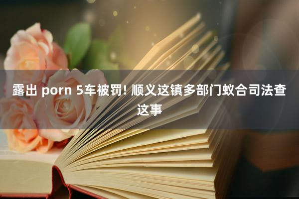 露出 porn 5车被罚! 顺义这镇多部门蚁合司法查这事