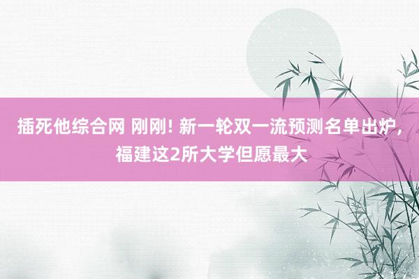 插死他综合网 刚刚! 新一轮双一流预测名单出炉， 福建这2所大学但愿最大