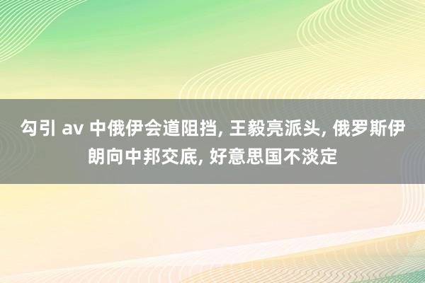 勾引 av 中俄伊会道阻挡， 王毅亮派头， 俄罗斯伊朗向中邦交底， 好意思国不淡定