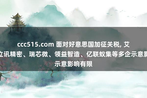 ccc515.com 面对好意思国加征关税， 艾比森、立讯精密、瑞芯微、领益智造、亿联蚁集等多企示意影响有限