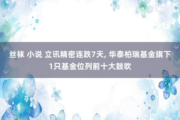 丝袜 小说 立讯精密连跌7天， 华泰柏瑞基金旗下1只基金位列前十大鼓吹